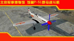 P-51 D20 中国军事博物馆馆藏涂装