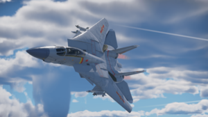 F14中国空军涂装
