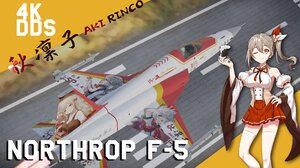 F-5E 秋凛子Rinco 主题涂装【4K DDS】
