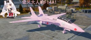 F14A伊朗