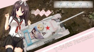 T_34_85_Partisan 天津罪 织部心 涂装