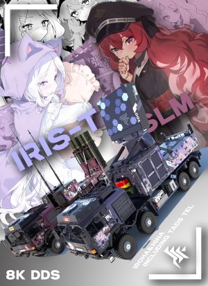 IRIS-T SLM 日奈 伊吕波涂装