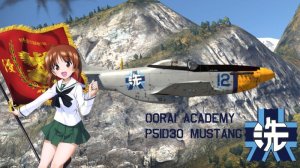 p_51d_30 少战大洗涂装
