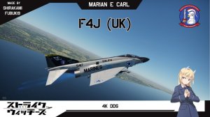 F-4J & F-4J(UK) 鬼怪 II 强袭魔女 玛莉安·E·卡尔涂装