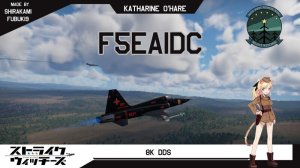 F-5E 虎 II 美系&中系通用 强袭魔女 凯萨琳·欧海尔涂装