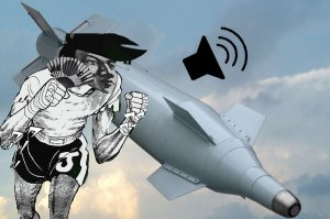 按住空格就自动游玩日快的音效包！·战争雷霆日快の小曲炸弹音效