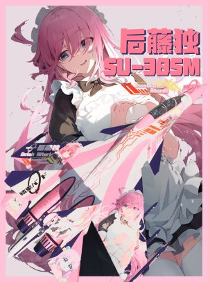 su30sm但是后藤独