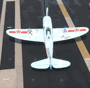 P-47D-23-RA 雷电 涂装早濑优香