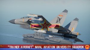 SU-30SM/J-15S “Trainer Aircraft”, carrier based aircraft training base, Xingcheng, Liaoning, 2022