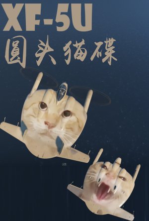 XF-5U 圆头猫碟涂装