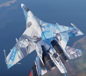 苏30MKK天童爱丽丝（找人定制的）