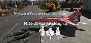 米格 - 25涂装桐藤 渚