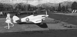 飓风Mk IIB/Trop战斗机涂装圣娅