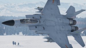 F-15C金鹰 PLA早期双发战机涂装(黑头)