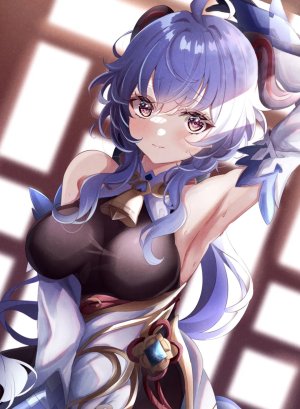 甘雨谢尔曼2