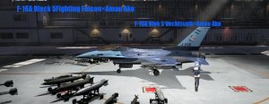 F-16A Block 5（荷兰）涂装天雨亚子