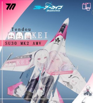 苏30MK2天童凯伊涂装