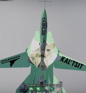 F14D,凯尔希涂装