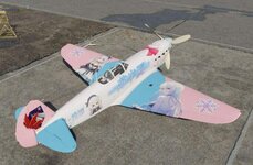 yak9t02.jpg