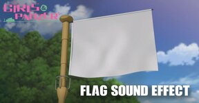 flag+sound+effect.jpg