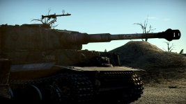 tiger+5.jpg