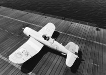 屏幕截图 2026-01-29 171037.jpg