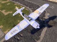 低空掠过.jpg
