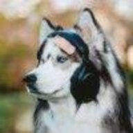 づ꧁江水寒·夜月╄→