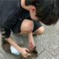 发财发财发大财