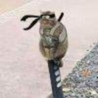 卡卡慕