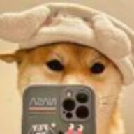 脉动～果冻