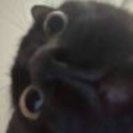 ╰→卋罖ヤ;