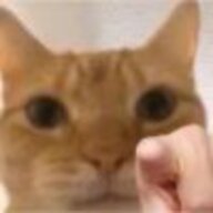 宇宙旋风无敌霹雳暴龙战士