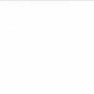 birdㅤㅤㅤㅤㅤㅤ