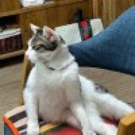 花香浮满的岁月。