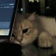 杨少越ㅤㅤㅤㅤㅤㅤ