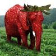 🍓🐘草莓大象