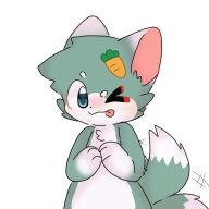 小海绵