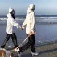 某科学的掷弹兵🍥🍬