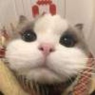 鬻爩1