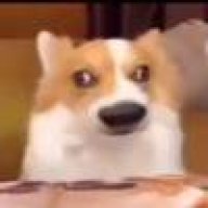 大傻狗🐶BBLUE