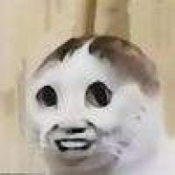 寄你太美