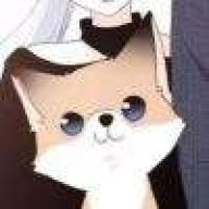 港区最烧的大选帝候