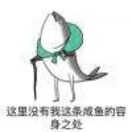 一条咸鱼114514