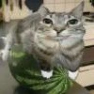 马十七