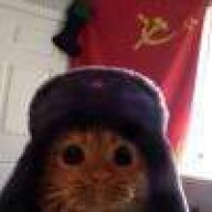 薛定谔的地狱猫