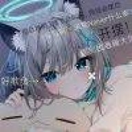 夙星夜曜