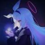 CN_一只普拉娜