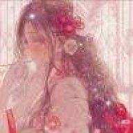 苏半夏