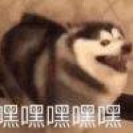洛水旗